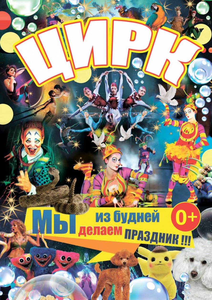 Цирковое шоу в Большой Речке