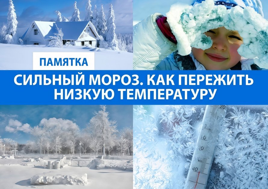 Как пережить сильные морозы 